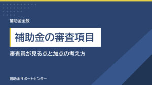 補助金の審査項目とは？事業計画書で審査員が見る点と加点の考え方が分かる